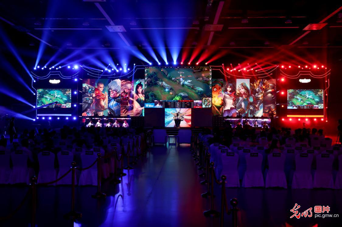 充分展示了 充分展示了