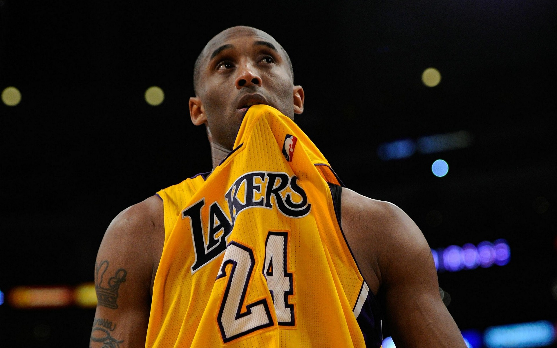 击败雄鹿 击败雄鹿