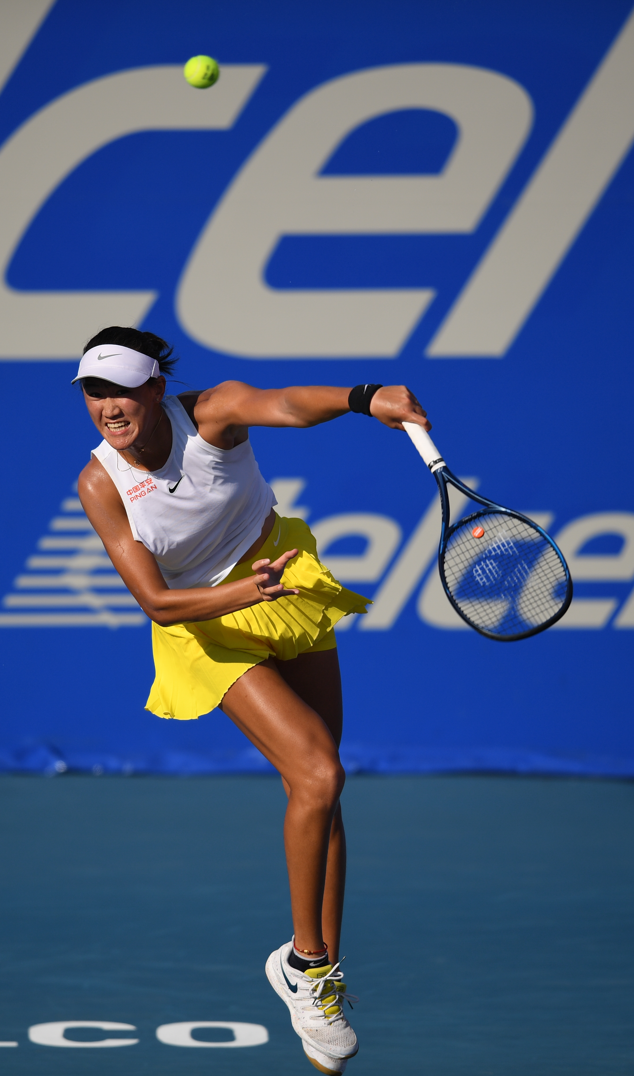 森林狼是否 森林狼是否