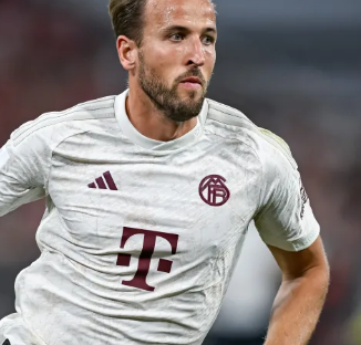 洽的标志 洽的标志