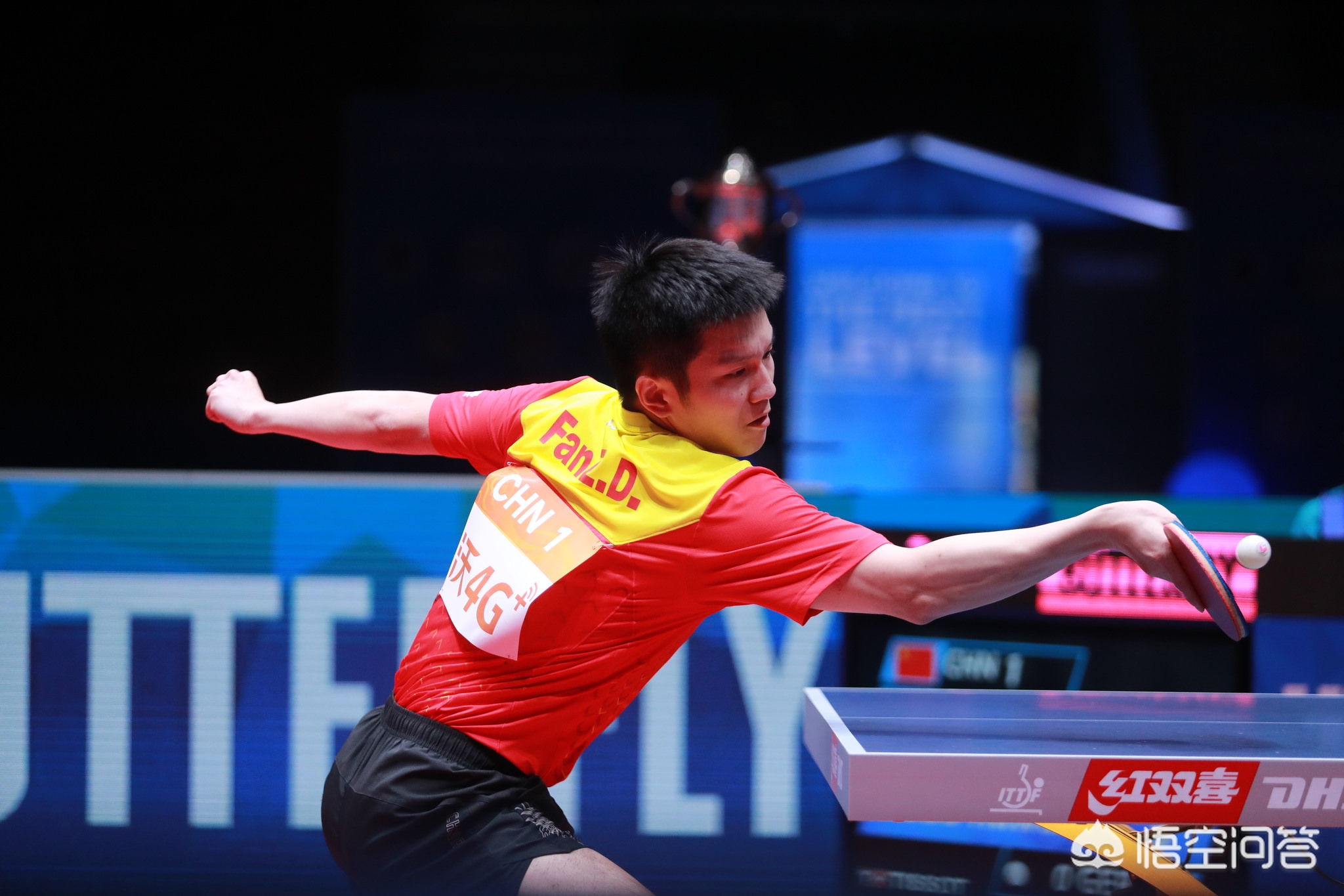 不仅体现在 不仅体现在